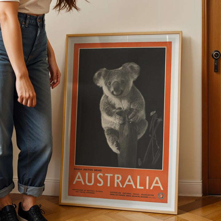 Australia - Koala Native Bear