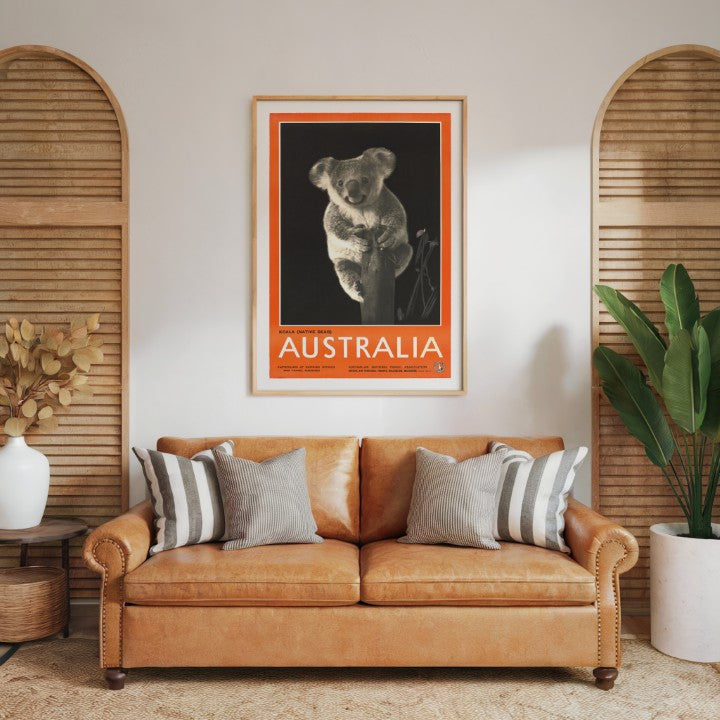 Australia - Koala Native Bear