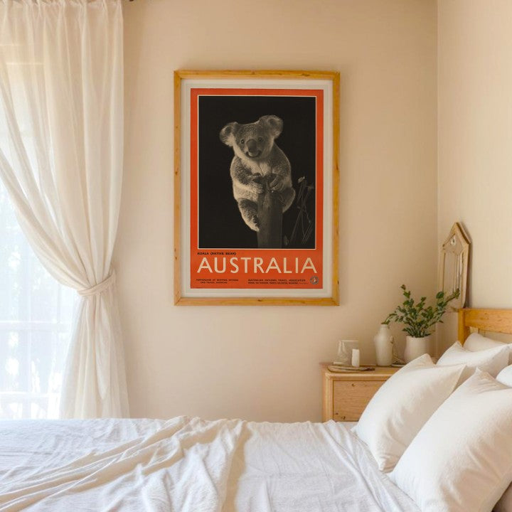 Australia - Koala Native Bear