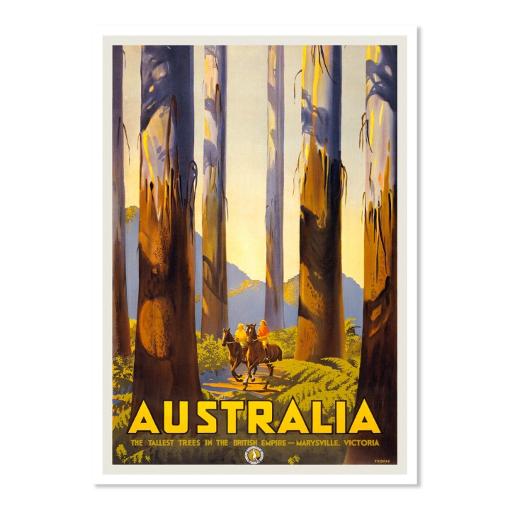 Marysville Australia - The Tallest Trees in the British Empire