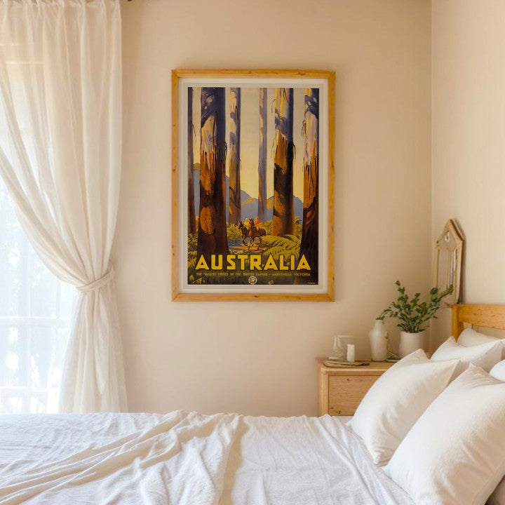 Marysville Australia - The Tallest Trees in the British Empire