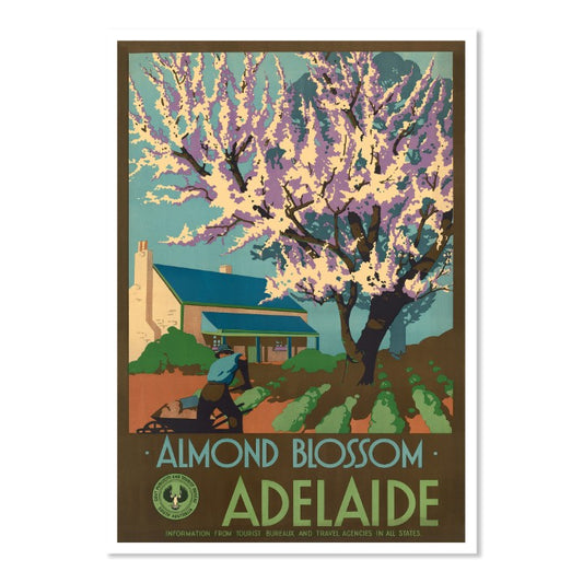 Almond Blossom Tourism Adelaide Australia