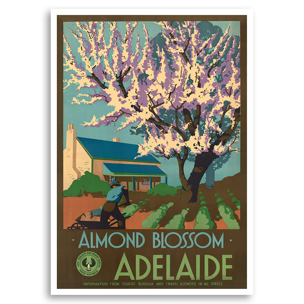 Almond Blossom illustration